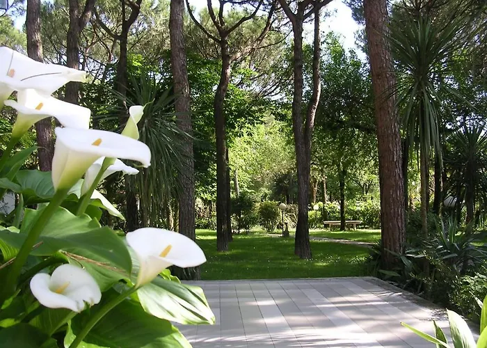 Valdor 3* Cavallino-Treporti