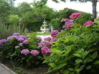 Valdor Hotel Cavallino-Treporti