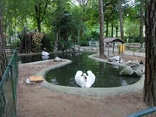 Hotel Valdor Cavallino-Treporti